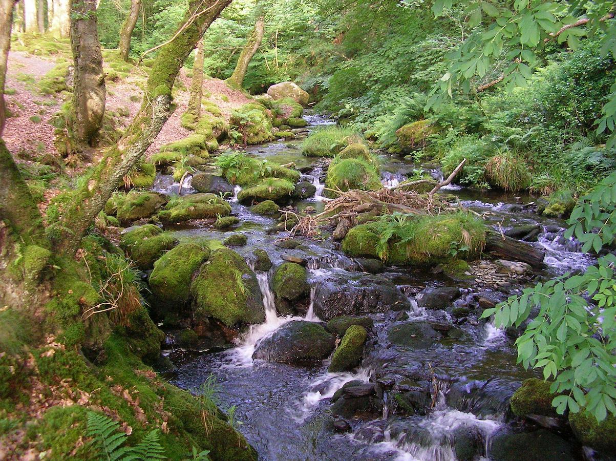 Bryn-crug The Dolgoch B&B 외부 사진