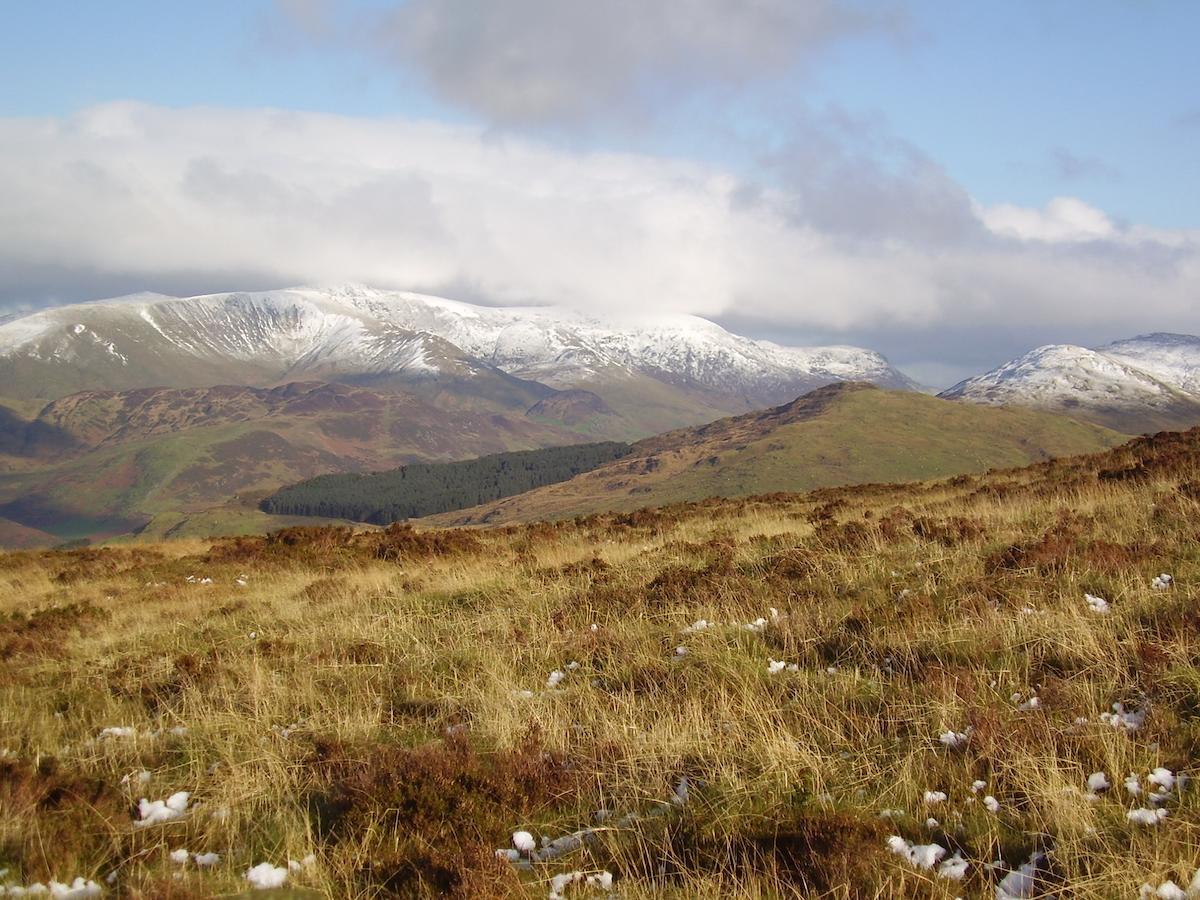 Bryn-crug The Dolgoch B&B 외부 사진