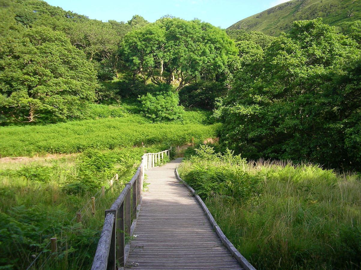 Bryn-crug The Dolgoch B&B 외부 사진